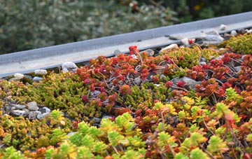the cost of North Bradley green roof installation