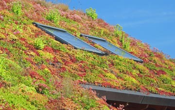 North Bradley living roof systems