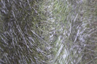 North Bradley fibreglass roof work